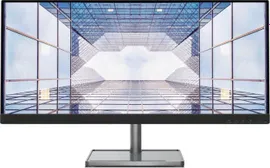 Монитор Lenovo 29" L29w-30 черный IPS LED 4ms 21:9 HDMI HAS Pivot 1000:1 300cd 178гр/178гр 2560x1080 DisplayPort FHD