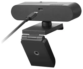 Perfeo Веб-камера Lenovo Performance FHD Webcam (4XC1D66055), черный web-камера